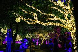 LumiFest™ 🌟 - Guirnalda mágica nocturna ✨